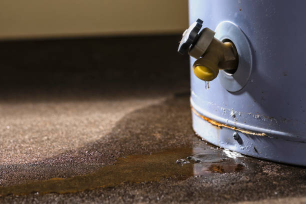 Professional Water damage restoration in Roaming Shores, OH