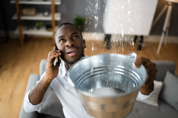 Best 24/7 water damage repair  in Roaming Shores, OH