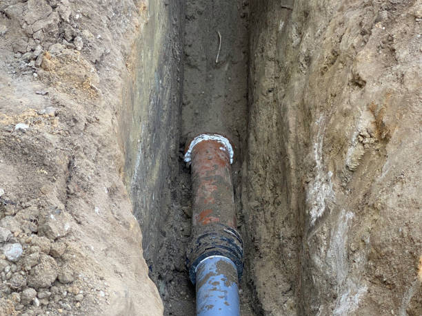 Reliable Roaming Shores, OH Water damage restoration Solutions