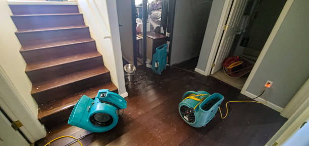 Roaming Shores, OH Water damage restoration Pros