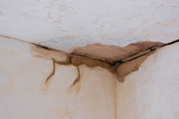 Best Fire Damage Restoration  in Roaming Shores, OH