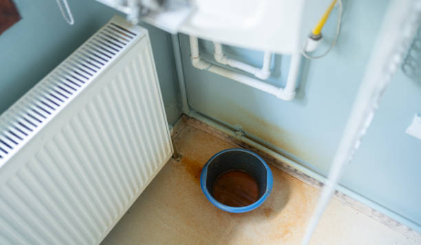 Best Ceiling water damage repair  in Roaming Shores, OH