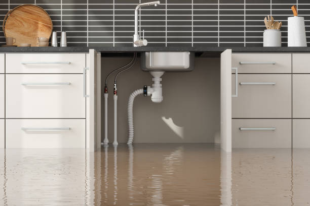Best 24-hour water damage restoration  in Roaming Shores, OH