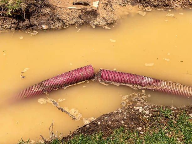 Roaming Shores, OH Water damage restoration Pros
